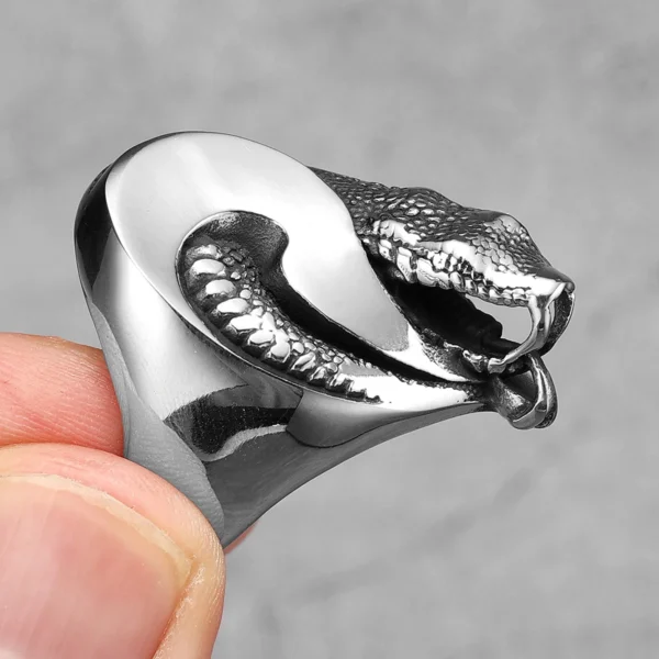 Tai Chi Alien Snake Ring Titanium Steel Punk Rock Jewelry for Men & Women