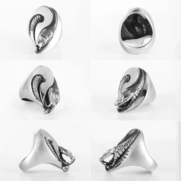 Tai Chi Alien Snake Ring Titanium Steel Punk Rock Jewelry for Men & Women